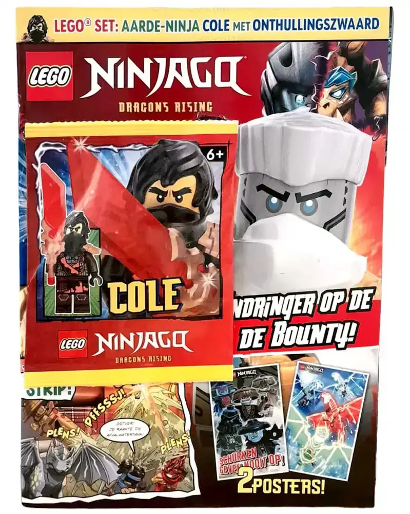 LEGO Ninjago activity - Aarde-Ninja Cole met zwaard