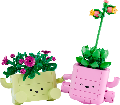 LEGO Botanicals 11506 Rocking Plants productbeeld