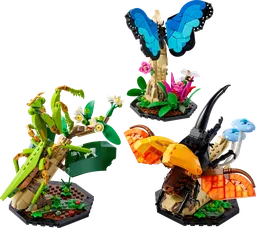 LEGO 21342 The Insect Collection