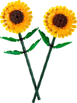 LEGO 40524 Sunflowers