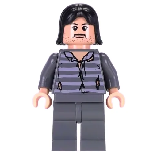 Sirius Black (Dark Bluish Gray Prison Outfit)