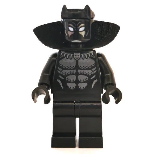 Black Panther with Collar