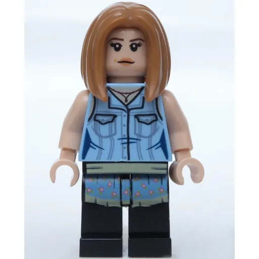 LEGO minifig Rachel Green (fig-006453)