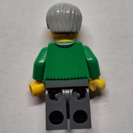 Man (Green V-Neck Sweater, Dark Bluish Gray Legs, Beard)
