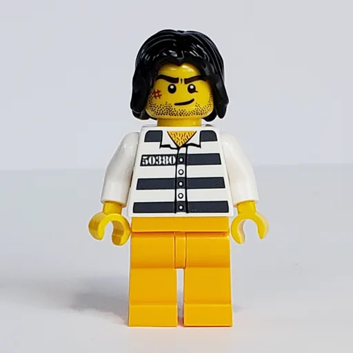 Criminal (Prison Shirt with #50380, Bright Light Orange Legs, Black Hair)