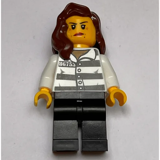 Criminal (Woman, Prison Shirt with #86753, Reddish Brown Hair)