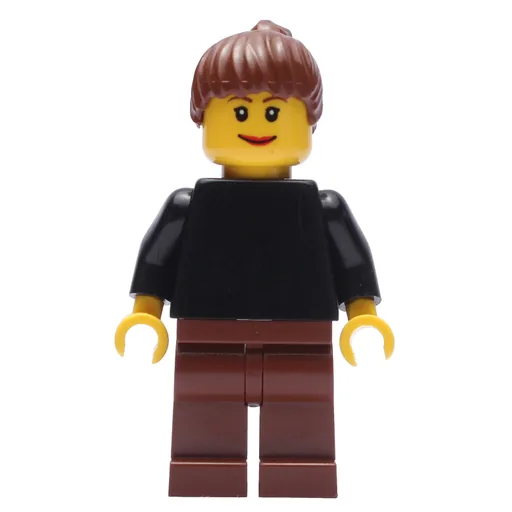 Black Torso (Reddish Brown Legs, Reddish Brown Hair)