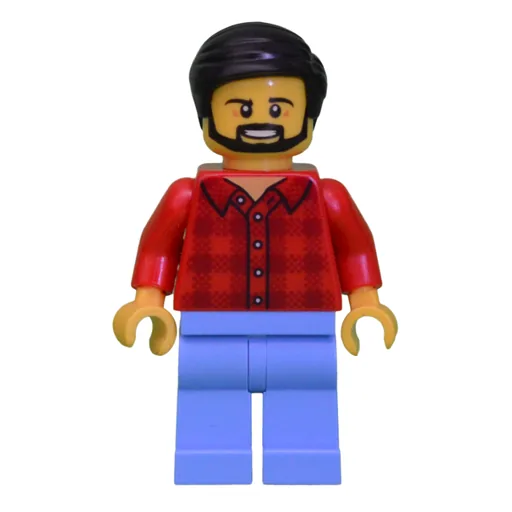 LEGO minifig Man (fig-009838)