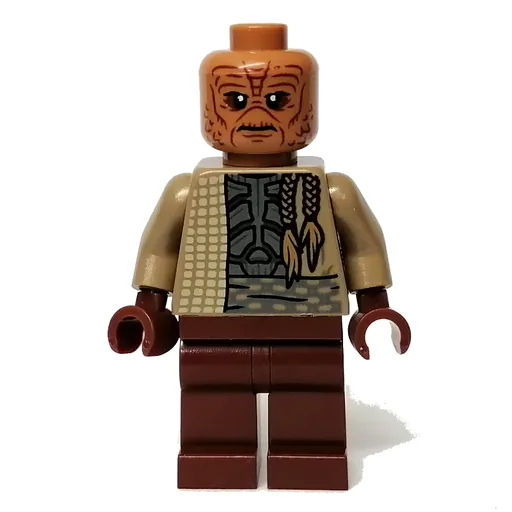 Weequay Guard