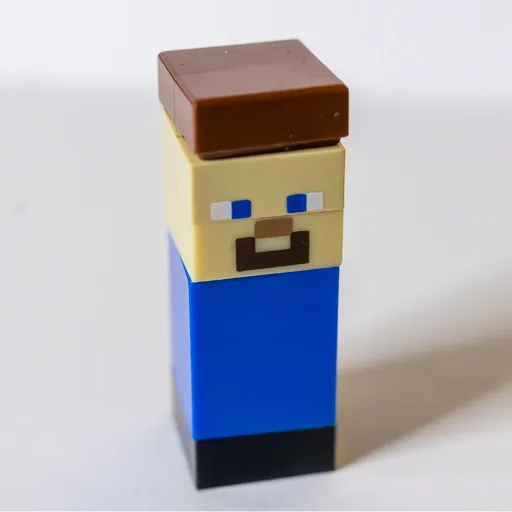 Steve (Micro)