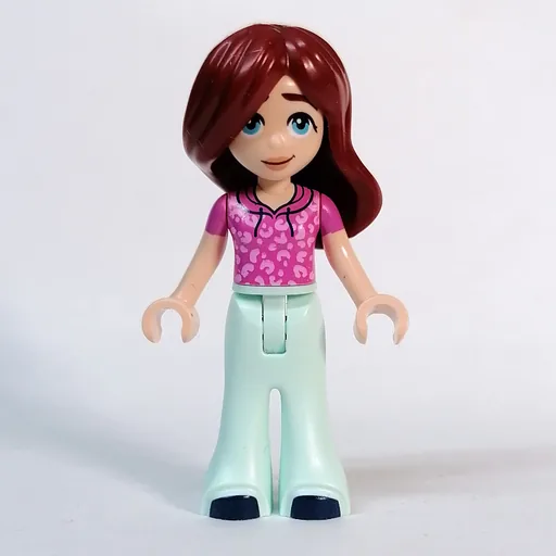 LEGO minifig Paisley (fig-013267)