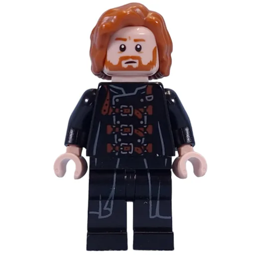 Ron Weasley (Polyjuice Dragomir Despard Disguise)