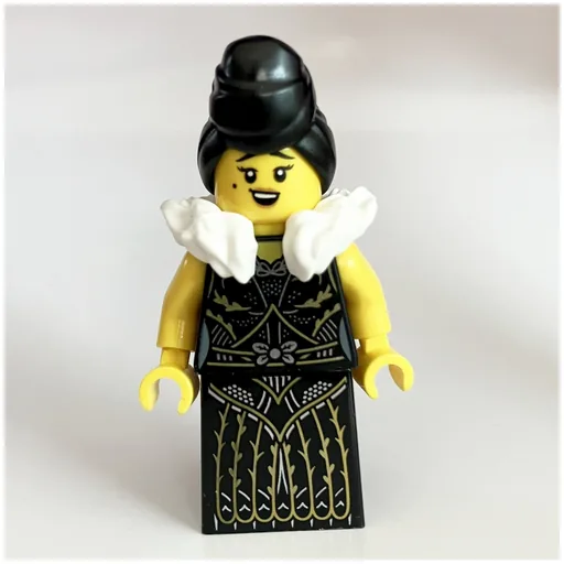 LEGO minifig Passenger (fig-014479)