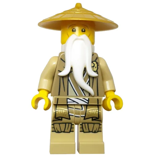 Master Wu (Dark Tan Robe)