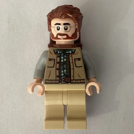 Dr. Henry Loomis