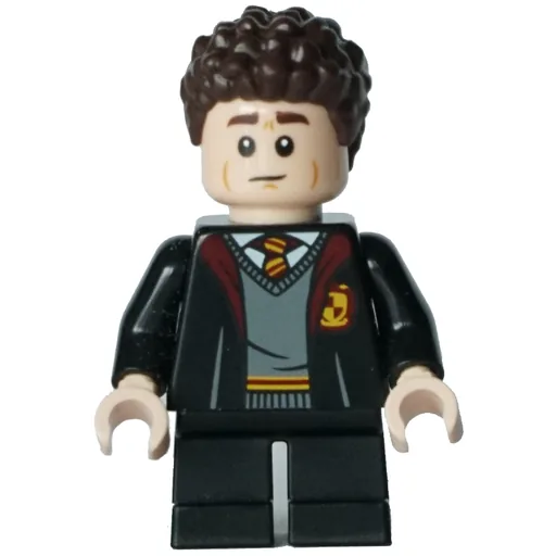 Gregory Goyle / Harry Potter (Gryffindor Robe with Crest)