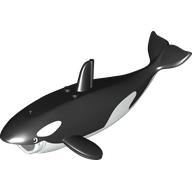 Animal, Killer Whale / Orca with White Bottom print (102304pr0001)