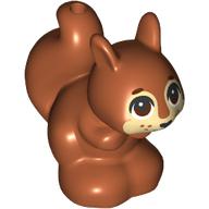 Animal, Squirrel with Tan Face, Dark Brown Eyes print (11568pr0007)