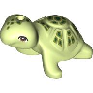 Animal, Turtle with Bright Green Shell, Dark Green Spots print (11603pr0006)
