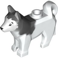 Animal, Dog, Husky with Black Eyes, Black Nose Print and Marbled Dark Bluish Gray Ears and Back Pattern (16606pat0001pr0001)