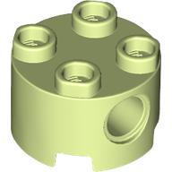 Brick Round 2 x 2, Pin Holes (17485)