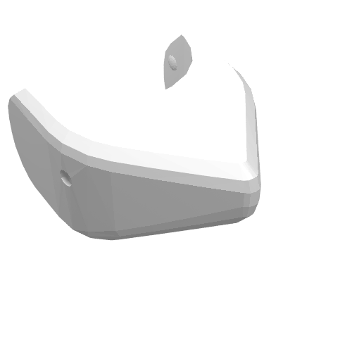 Animal Body Part, Shark Head (2548)