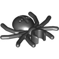 Insect, Spider (30238)