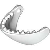 Animal Body Part, Whale, Jaw (3379)