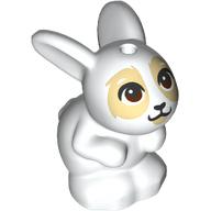 Animal, Rabbit / Bunny Sitting with Dark Brown Eyes, Tan Face print (34050pr0002)