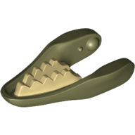 Animal Body Part, Dinosaur, Raptor / Dilophosaurus Lower Jaw with Tan Teeth Print (37407pr0001)