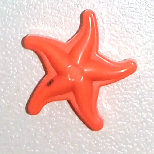 Animal, Sea Life Set, Star Fish (49595c)