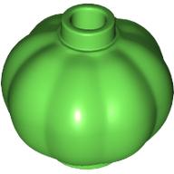 Plant, Pumpkin (51270)
