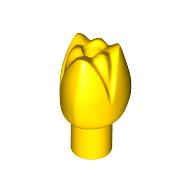 Plant, Flower, Tulip (5903)