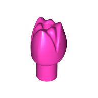 Plant, Flower, Tulip (5903)