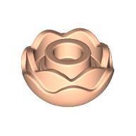 Plant, Flower, Peony Rose with 2 Layers (5904)