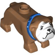 Animal, Dog, Bulldog with White Face, Fangs, Blue Collar print (65388pr0004)