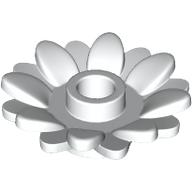 Plant, Sunflower 2 x 2 with 16 Petals (6901)