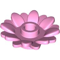 Plant, Sunflower 2 x 2 with 16 Petals (6901)
