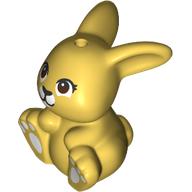 Animal, Bunny, Sitting with Dark Brown Eyes, White Noes, Paws print (7687pr0002)