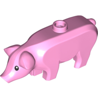 Animal, Pig, Large with Black Eyes and White Pupils Print (87621pr0004)