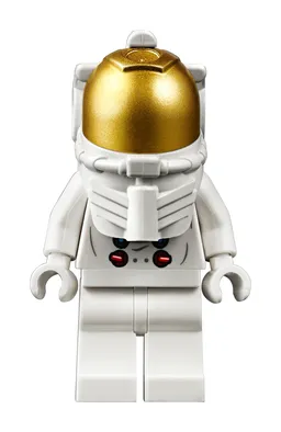 LEGO NASA Apollo 11 Lunar Lander (10266) - afbeelding 16