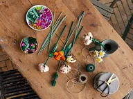 Zonnebloemen - Afbeelding 17 van 21