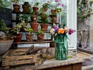 Zonnebloemen - Afbeelding 20 van 21