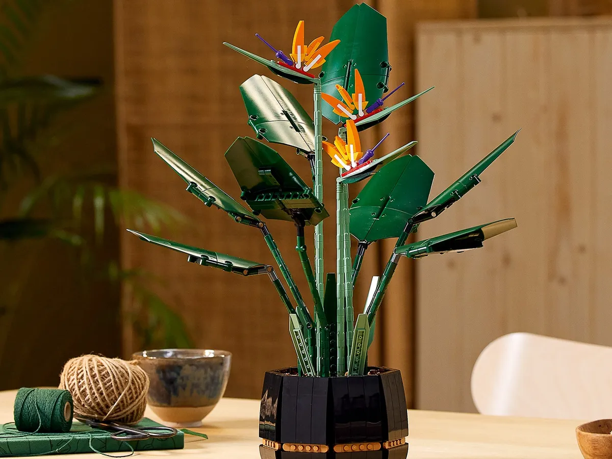 LEGO Bird of Paradise (10289) - Bild 9