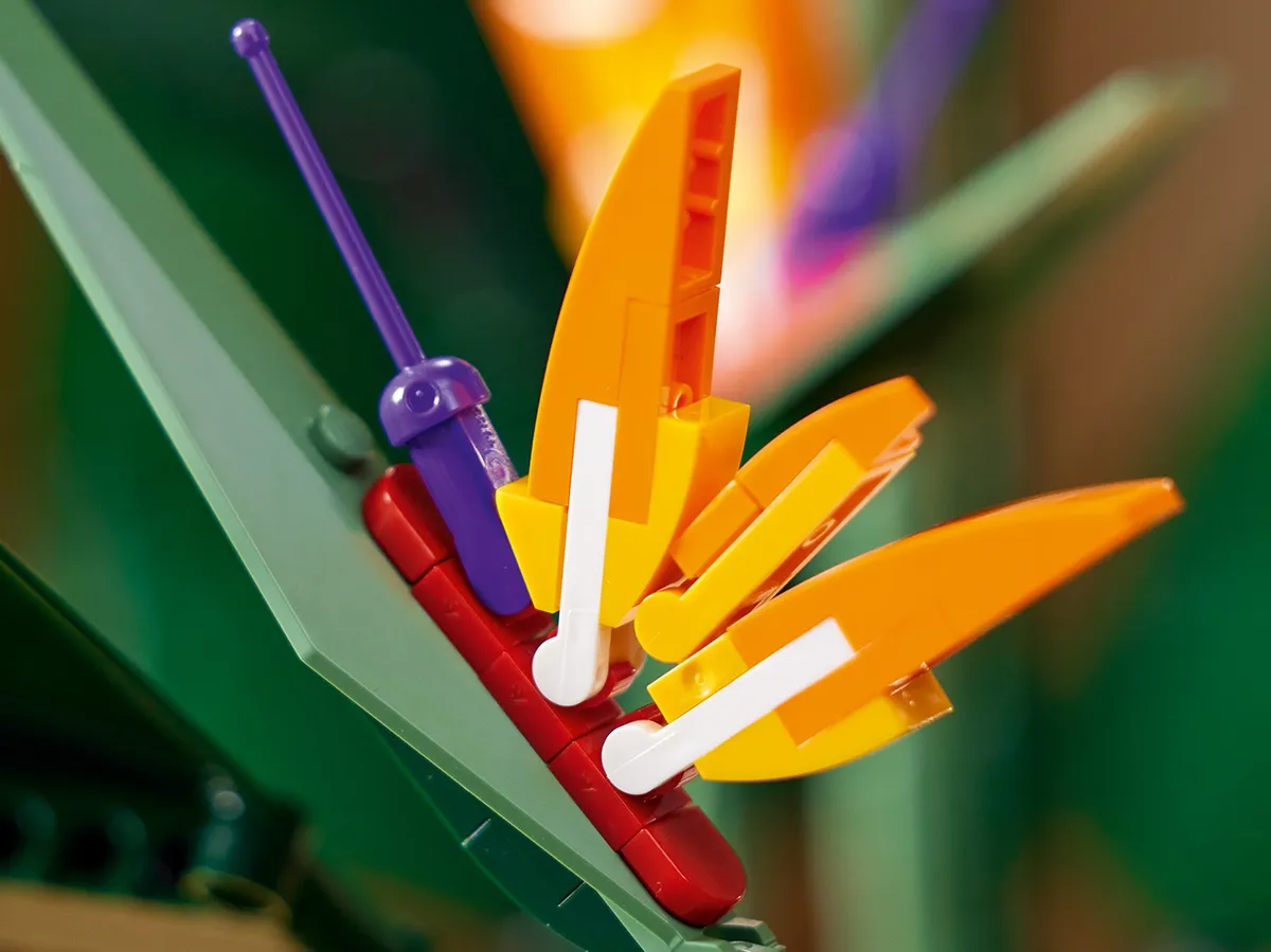LEGO Bird of Paradise (10289) - Bild 10