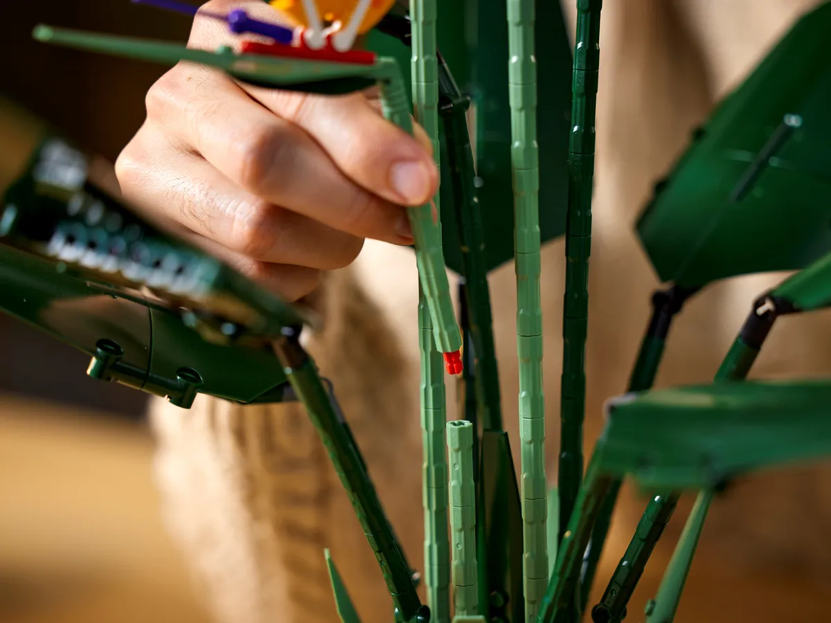 LEGO Bird of Paradise (10289) - Bild 14