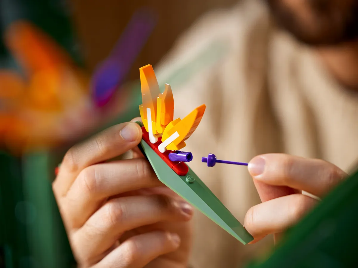 LEGO Bird of Paradise (10289) - Bild 15