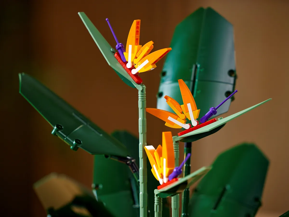 LEGO Bird of Paradise (10289) - Bild 16