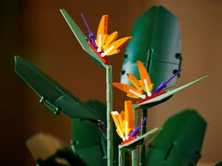 Bird of Paradise fra LEGO – produktbillede 17 af 18