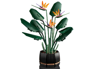Bird of Paradise fra LEGO – produktbillede 3 af 18